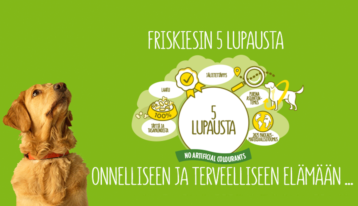 Friskiesin 5 lupausta koira