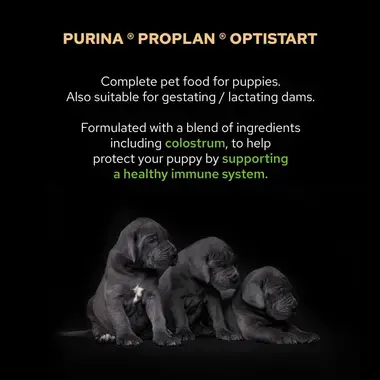 PRO PLAN® Medium Puppy Healthy Start Runsaasti Kanaa