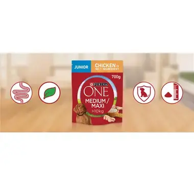 PURINA ONE® Medium/Maxi Dog Junior runsaasti Kanaa