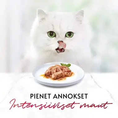 GOURMET® Mon Petit Fish Variety sisältää Tonnikalaa, Lohta & Taimenta