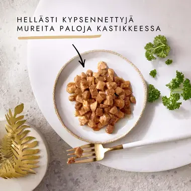 GOURMET® Gold Paloja kastikkeessa sisältää Lohta & Kanaa