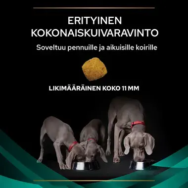 PRO PLAN® VETERINARY DIETS Canine EN Gastrointestinal (Kuivaruoka)