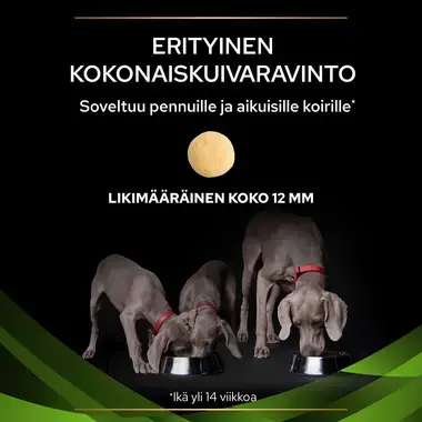 PRO PLAN® VETERINARY DIETS Canine HA Hypoallergenic (Kuivaruoka)