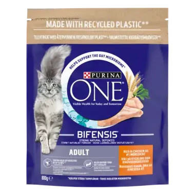 Purina ONE Adult, Runsaasti Kanaa ja Täysjyväviljaa 800g