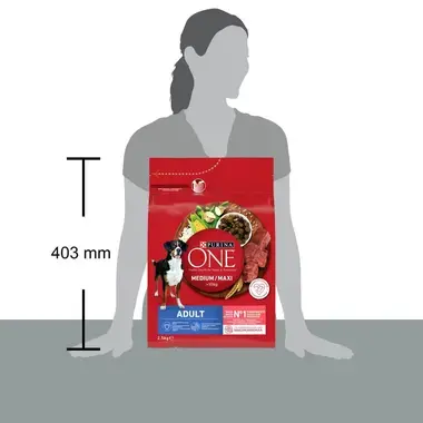 PURINA ONE® Medium/Maxi Dog Adult runsaasti Nautaa