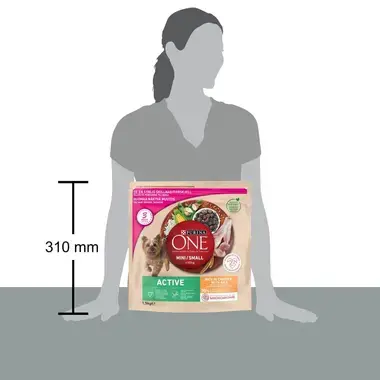 PURINA ONE® Small Dog Active runsaasti Kanaa