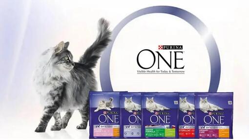 Purina One Katt