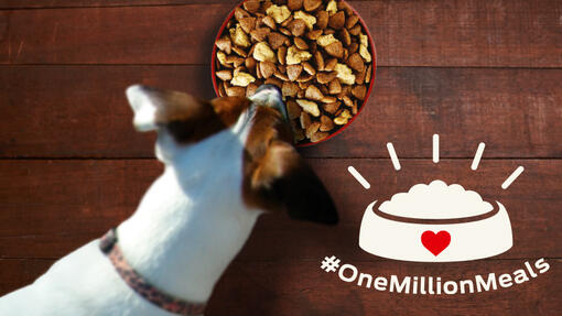 OneMillionMeals 